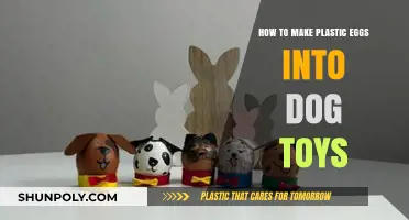 DIY Dog Toys: Transforming Plastic Eggs into Canine Playtime Fun