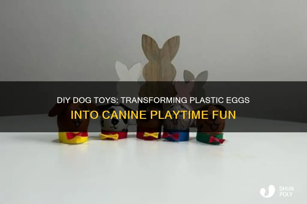 how to make plastic eggs into dog toys