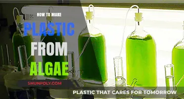 Sustainable Innovation: Crafting Eco-Friendly Plastic from Algae
