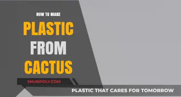 Sustainable Innovation: Crafting Eco-Friendly Plastic from Cactus Plants