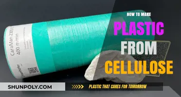 Eco-Friendly Innovation: Crafting Sustainable Plastic from Cellulose Sources