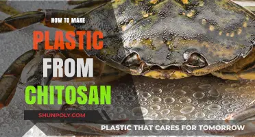 Eco-Friendly Innovation: Crafting Biodegradable Plastic from Chitosan