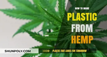 Sustainable Innovation: Crafting Eco-Friendly Hemp-Based Plastic Alternatives