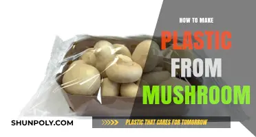 Eco-Friendly Innovation: Crafting Sustainable Mushroom-Based Plastic Alternatives