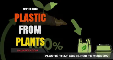 Sustainable Innovation: Crafting Plant-Based Plastic for a Greener Future