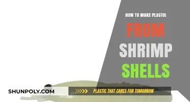 Eco-Friendly Innovation: Crafting Sustainable Plastic from Shrimp Shells