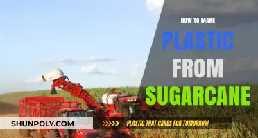 Sustainable Innovation: Crafting Eco-Friendly Plastic from Sugarcane