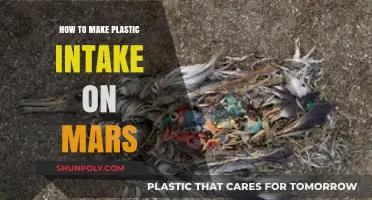 Innovative Methods for Sustainable Plastic Intake on Mars Exploration