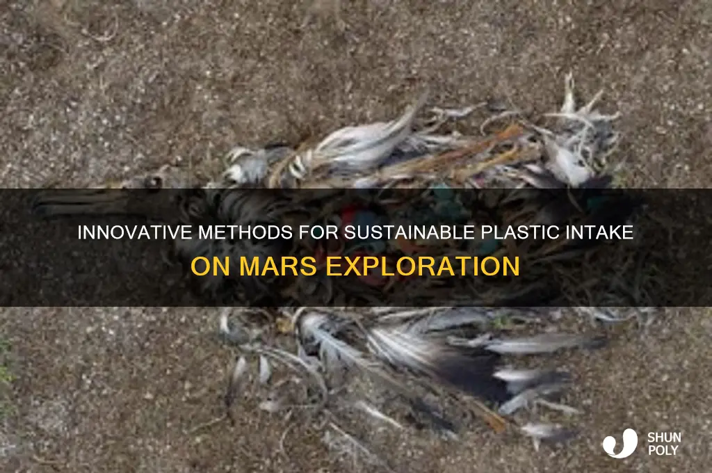 how to make plastic intake on mars