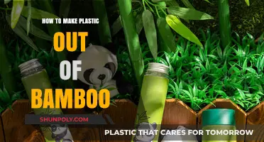 Eco-Friendly Innovation: Crafting Sustainable Plastic from Bamboo Fibers