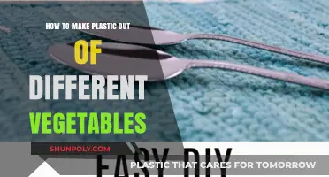 Crafting Eco-Friendly Plastic Alternatives from Everyday Vegetables