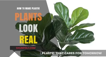 Transforming Plastic Plants: Easy Tricks to Achieve a Lifelike Appearance