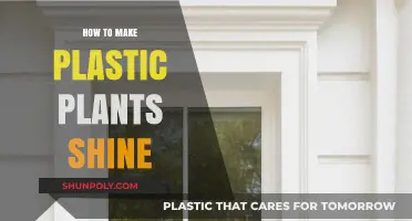 Revitalize Your Décor: Simple Tricks to Make Plastic Plants Shine