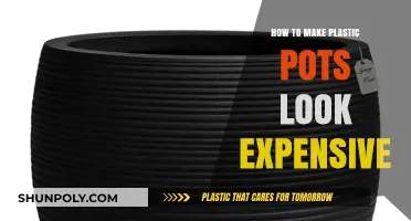 Elevate Your Plastic Pots: Simple Tricks for a Luxurious Look