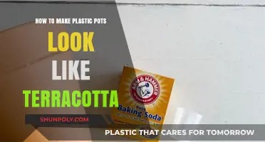 Transform Plastic Pots into Terracotta Look-Alikes with Simple DIY Techniques