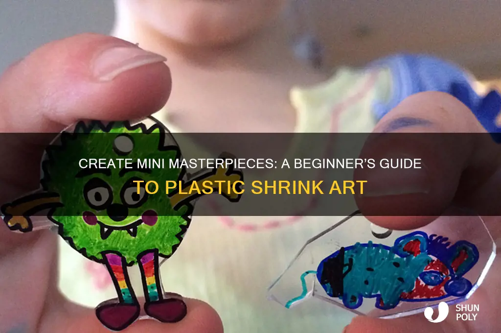 how to make plastic shrink art