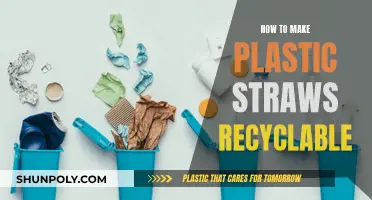 Transforming Plastic Straws: A Guide to Recycling and Sustainability