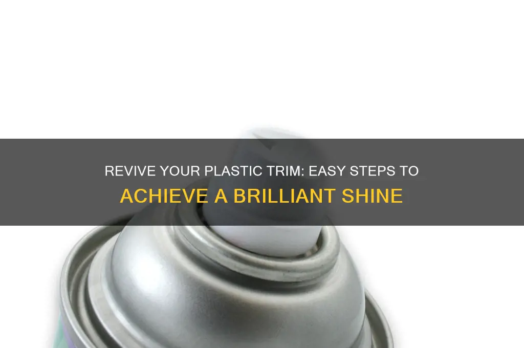 how to make plastic trim shine