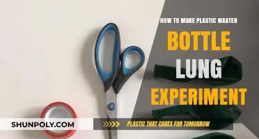 DIY Plastic Bottle Lung Experiment: A Simple Science Project Guide