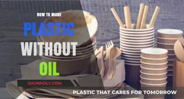 Sustainable Alternatives: Crafting Plastic Without Relying on Oil