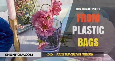 Eco-Friendly DIY: Crafting Durable Plates from Recycled Plastic Bags