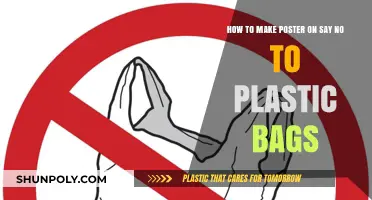 Eco-Friendly Creativity: Designing Posters to Say No to Plastic Bags