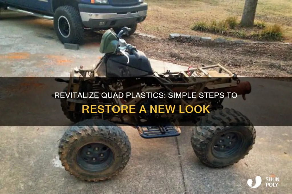 how to make quad plastics look new