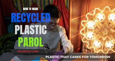 Crafting Eco-Friendly Parrots: A Guide to Recycled Plastic Parrots