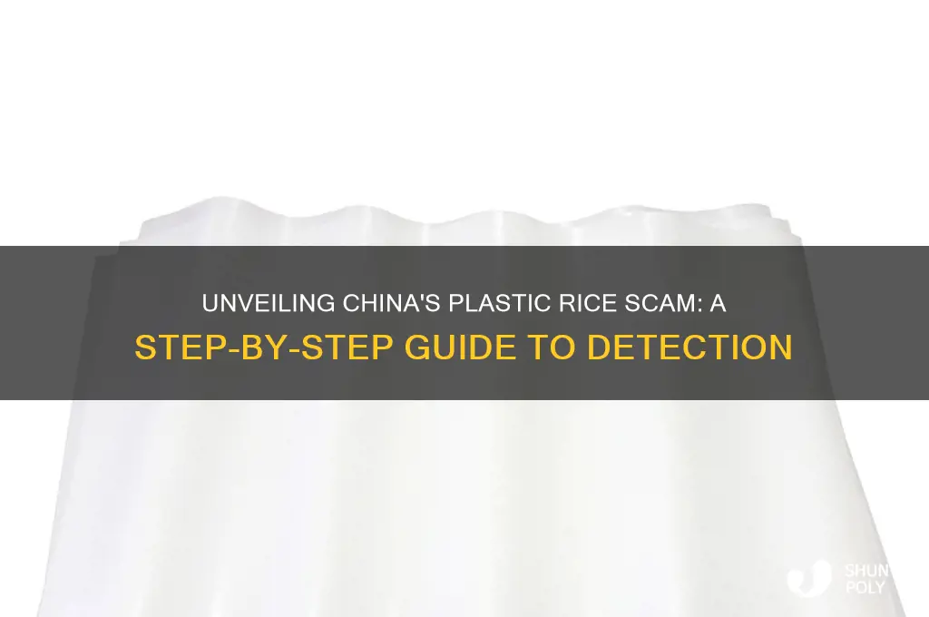 how to make rice fake from plastic in china