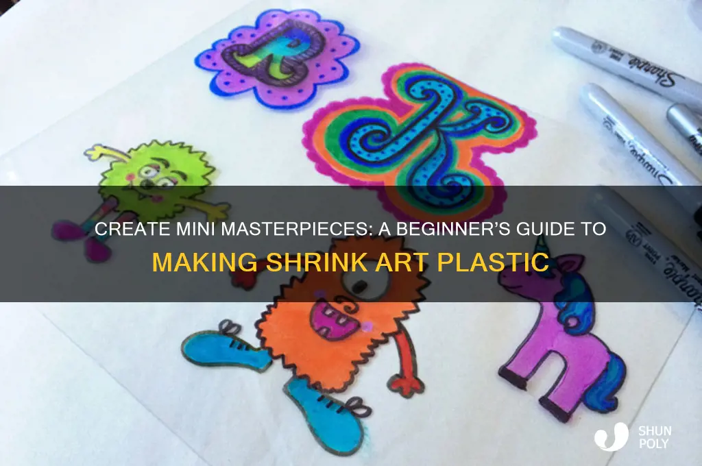 how to make shrink art plastic