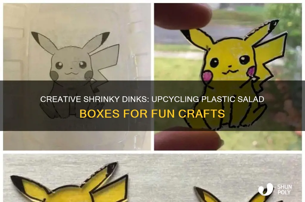 how to make shrinky dinks with plastic slad box