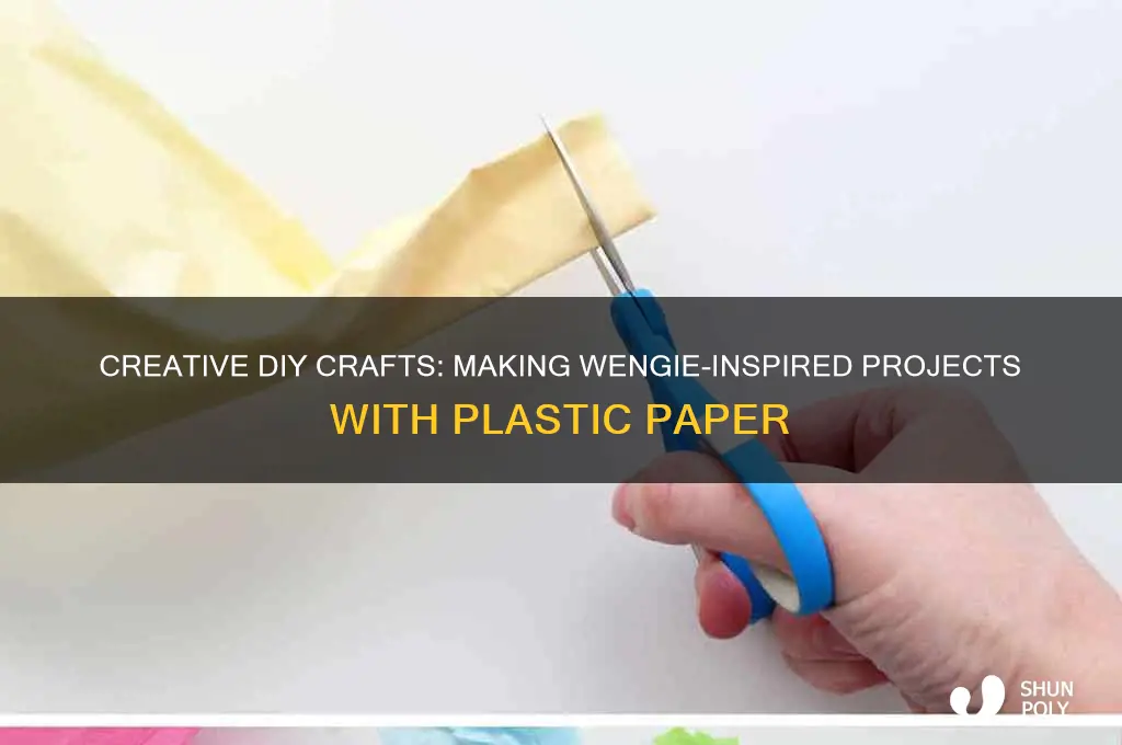 how to make something with plastic paper wengie