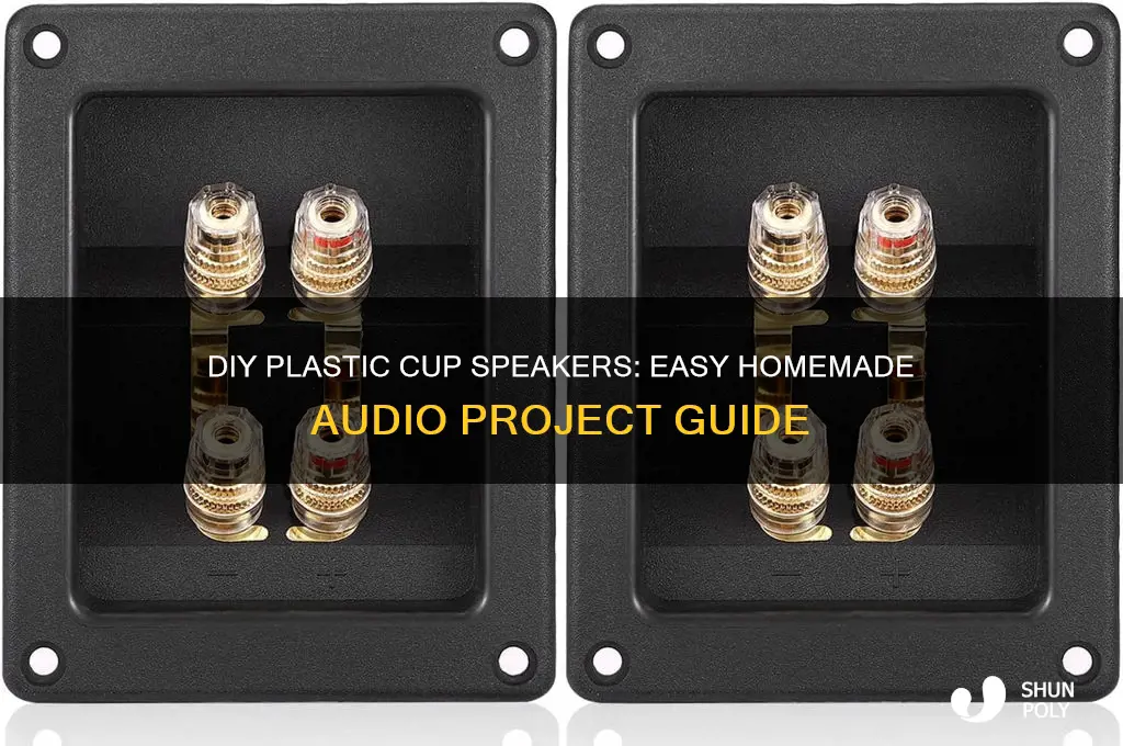 how to make speakers with plastic cups