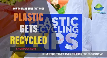 Maximize Your Plastic Recycling: Tips for Ensuring Proper Disposal and Reuse