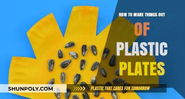 Creative DIY Ideas: Transforming Plastic Plates into Useful Crafts