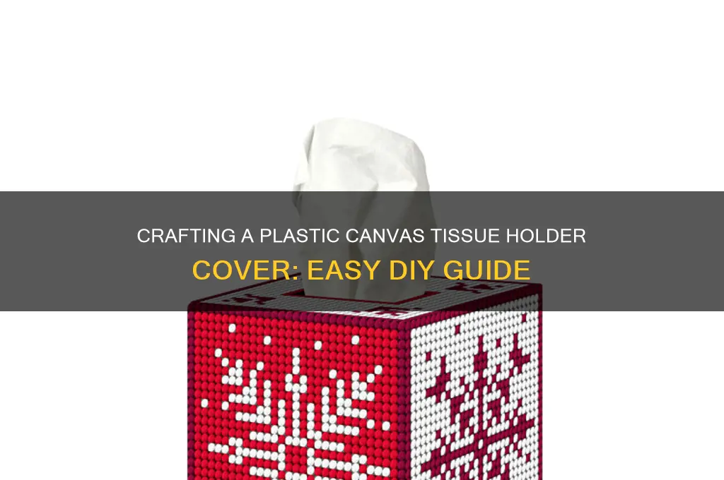 how to make tissue holder cover plastic canvas