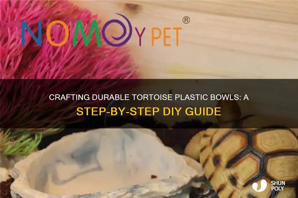 how to make tortoise plastic bowls