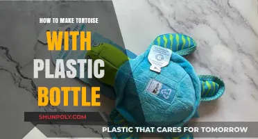 Creative DIY: Crafting a Tortoise from a Plastic Bottle