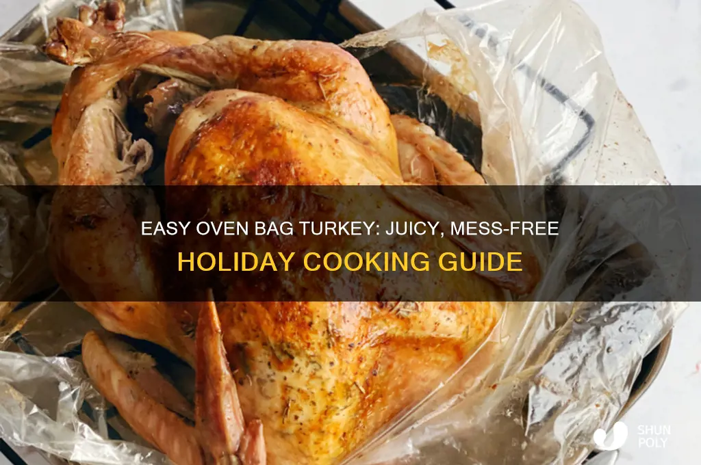 how to make turkey in the plastic bag