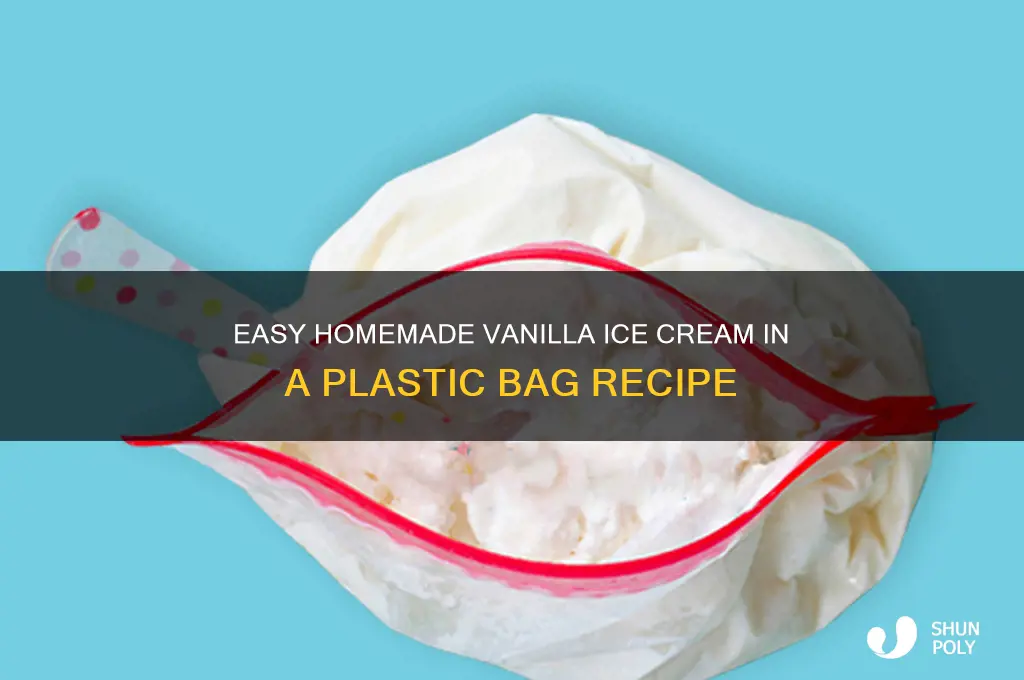 how to make vanilla ice cream in a plastic bag
