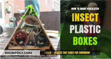 DIY Ventilated Insect Plastic Boxes: Easy Step-by-Step Guide