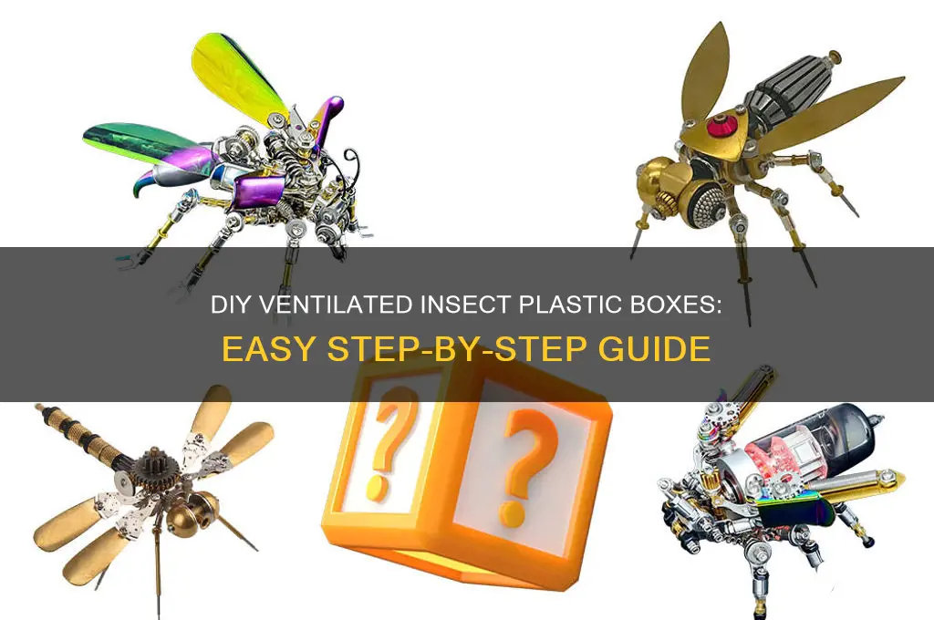 how to make ventilated insect plastic boxes
