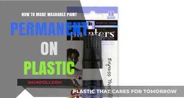 Seal and Preserve: Making Washable Paint Permanent on Plastic Surfaces