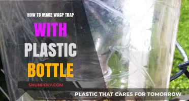 DIY Wasp Trap: Easy Plastic Bottle Solution for Pest Control