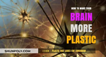 Unlocking Brain Plasticity: Simple Strategies for Enhanced Cognitive Flexibility