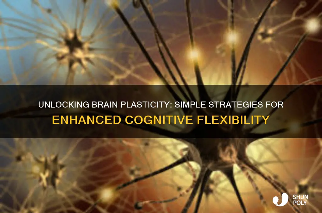 how to make your brain more plastic