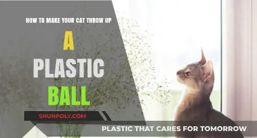 Quick Guide: Safely Inducing Vomiting in Cats After Swallowing Plastic