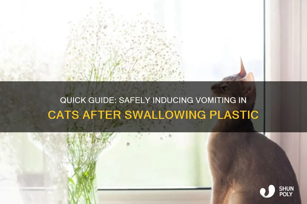 how to make your cat throw up a plastic ball