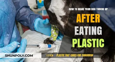 Emergency Guide: Inducing Vomiting in Dogs After Plastic Ingestion