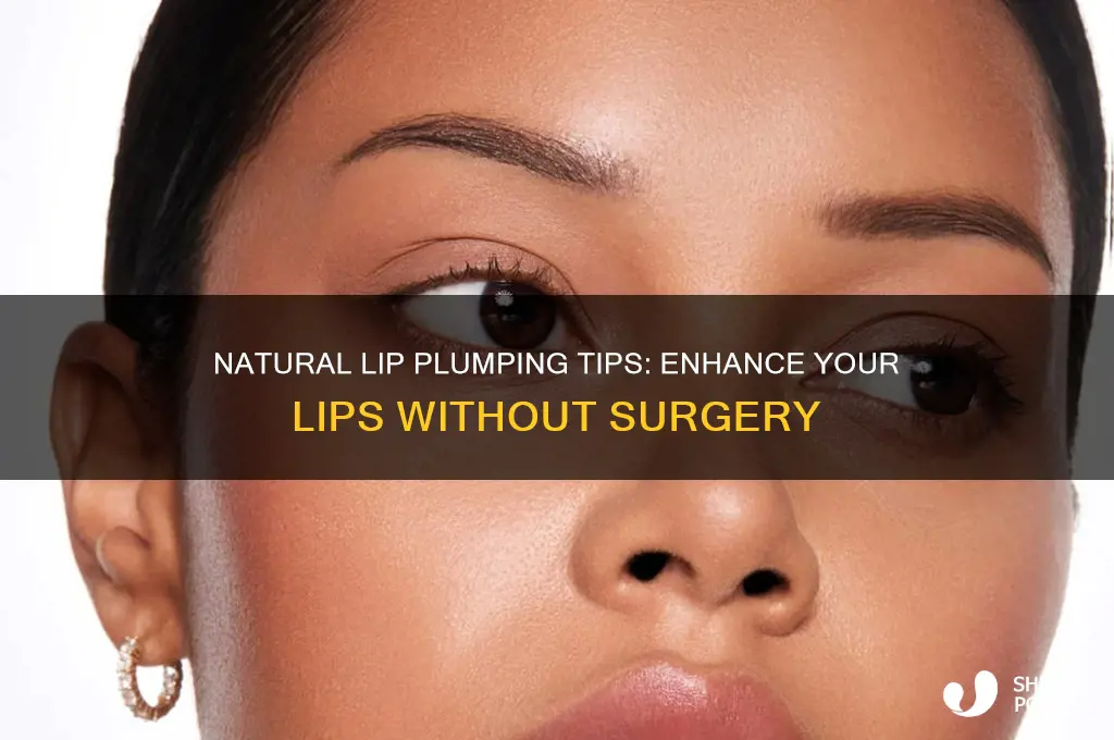 how to make your lips bigger without plastic surgery